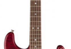 2014 Custom Deluxe Stratocaster