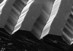 Drážka vinylu pod mikroskopem (zvětšení 340x)