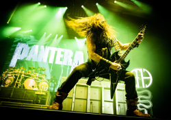 Pantera | Foto: Jiří Platzer