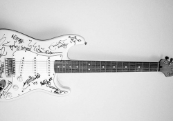 Kytara Fender Stratocaster Bryana Adamse