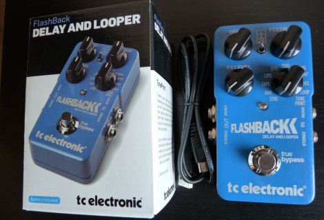 TC ELECTRONIC Flashback Delay & Looper | frontman.cz